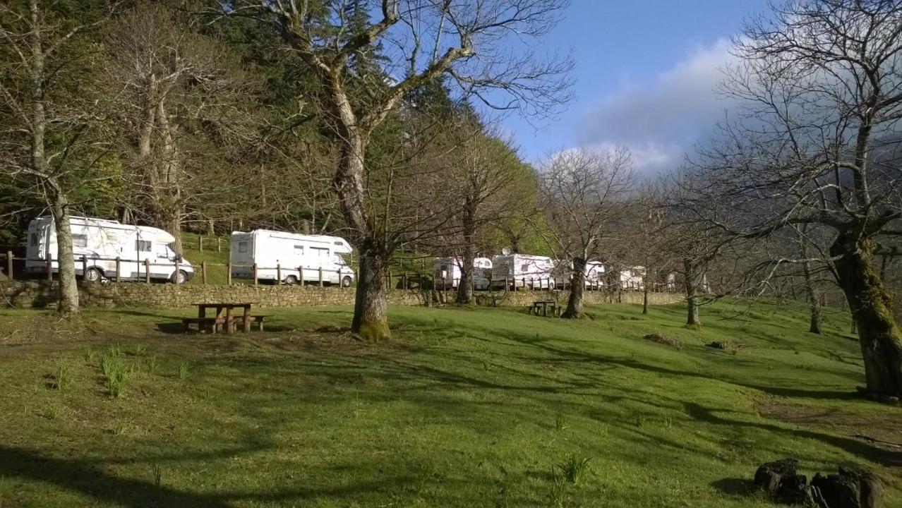 Camping Camaldoli Hotel Exterior photo